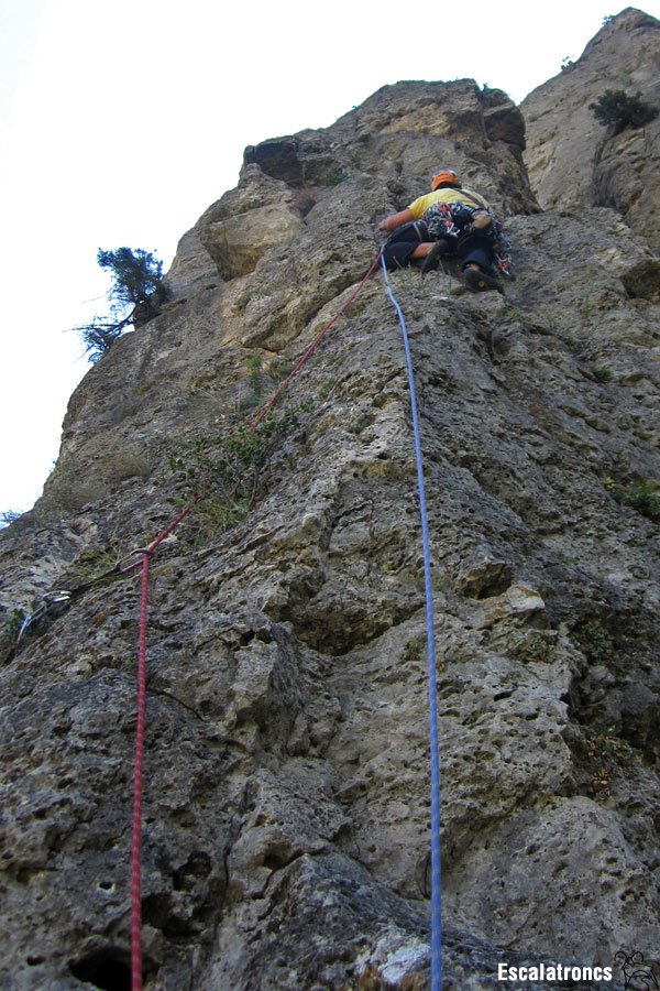 Tercer llarg, comú amb la Jopuma (Foto: Jose V.)